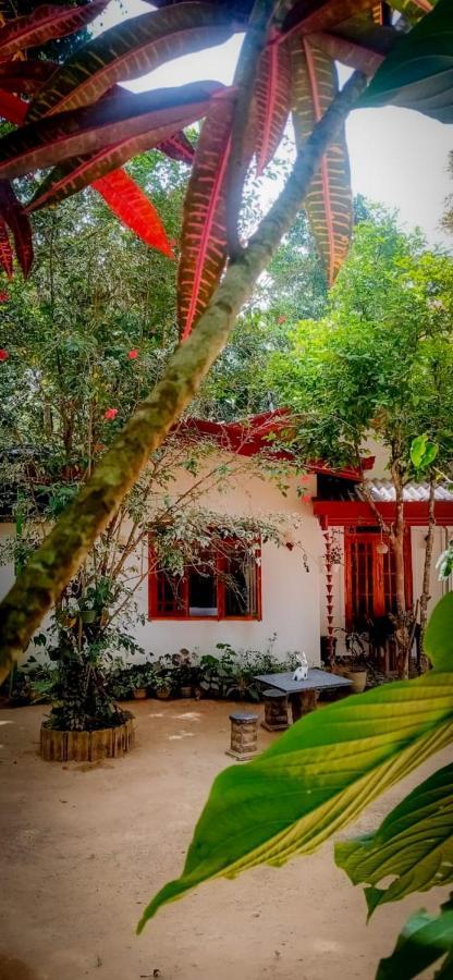 Ella Jungle Inn Homestay And Tree House 외부 사진