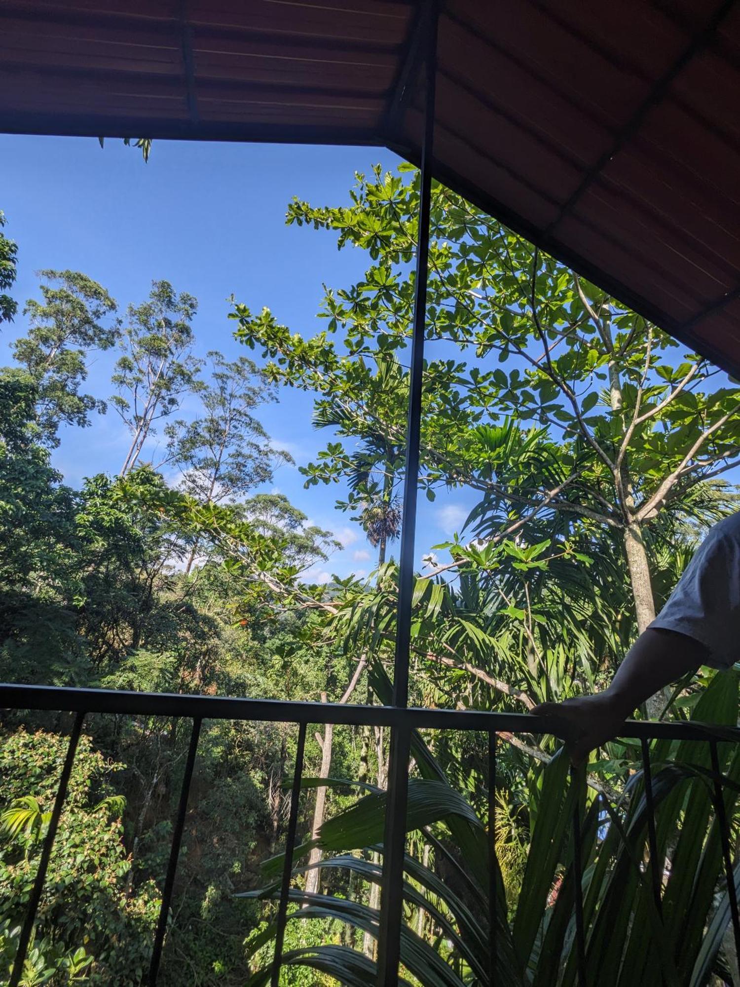 Ella Jungle Inn Homestay And Tree House 외부 사진