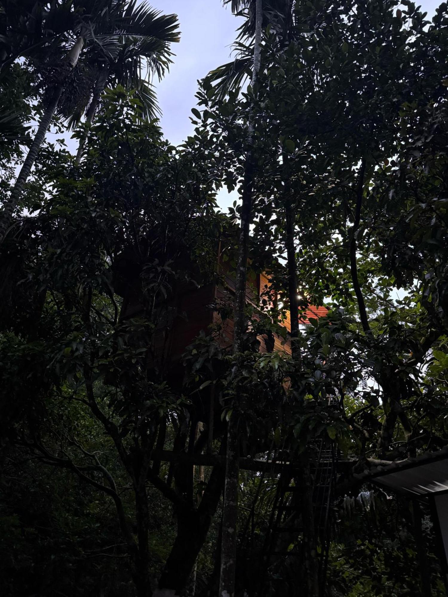 Ella Jungle Inn Homestay And Tree House 외부 사진