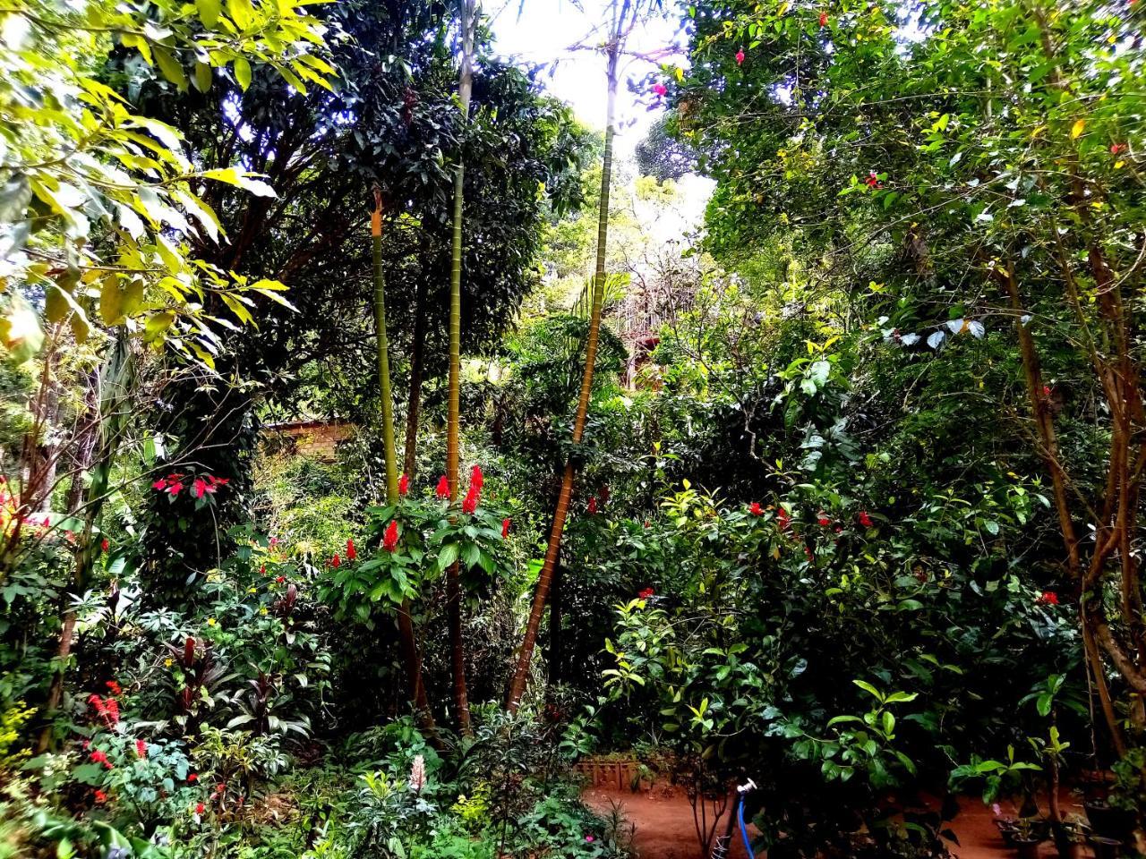 Ella Jungle Inn Homestay And Tree House 외부 사진